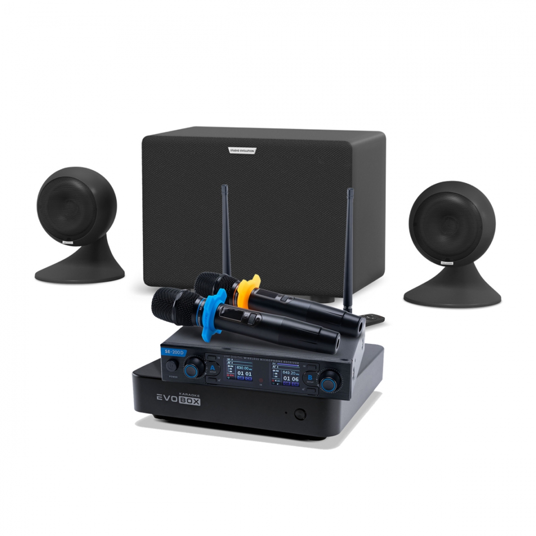 караоке-комплект EVOBOX + EvoSound Sphere 2.1 в Холмске