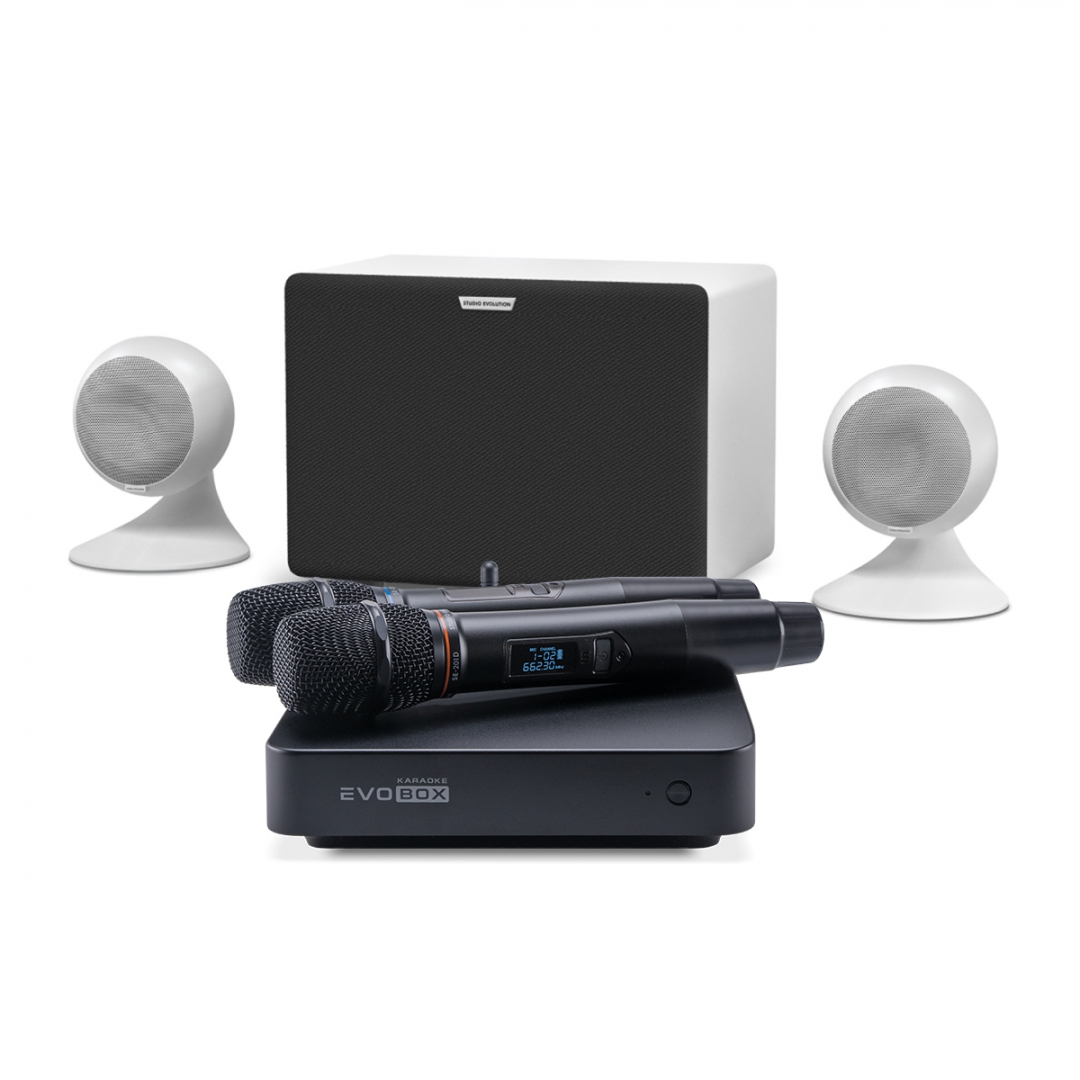 караоке-комплект EVOBOX Classic + EvoSound Sphere 2.1 в Холмске