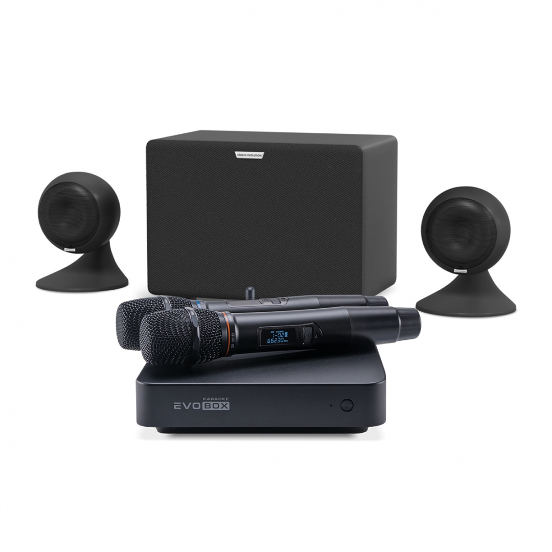 караоке-комплект EVOBOX Plus + EvoSound Sphere 2.1 в Холмске