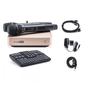 EVOBOX Plus караоке-система для дома в Холмске