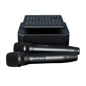 караоке-комплект для Дома AST ZOOM 1/2 и EvoSound Bar (Саундбар с караоке) в Холмске
